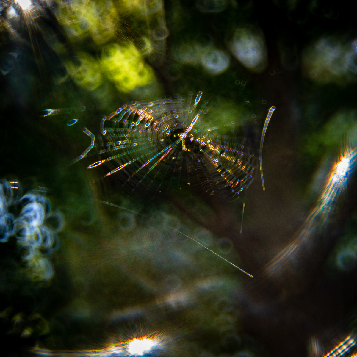 f:id:DocSeri:20181006133855j:plain