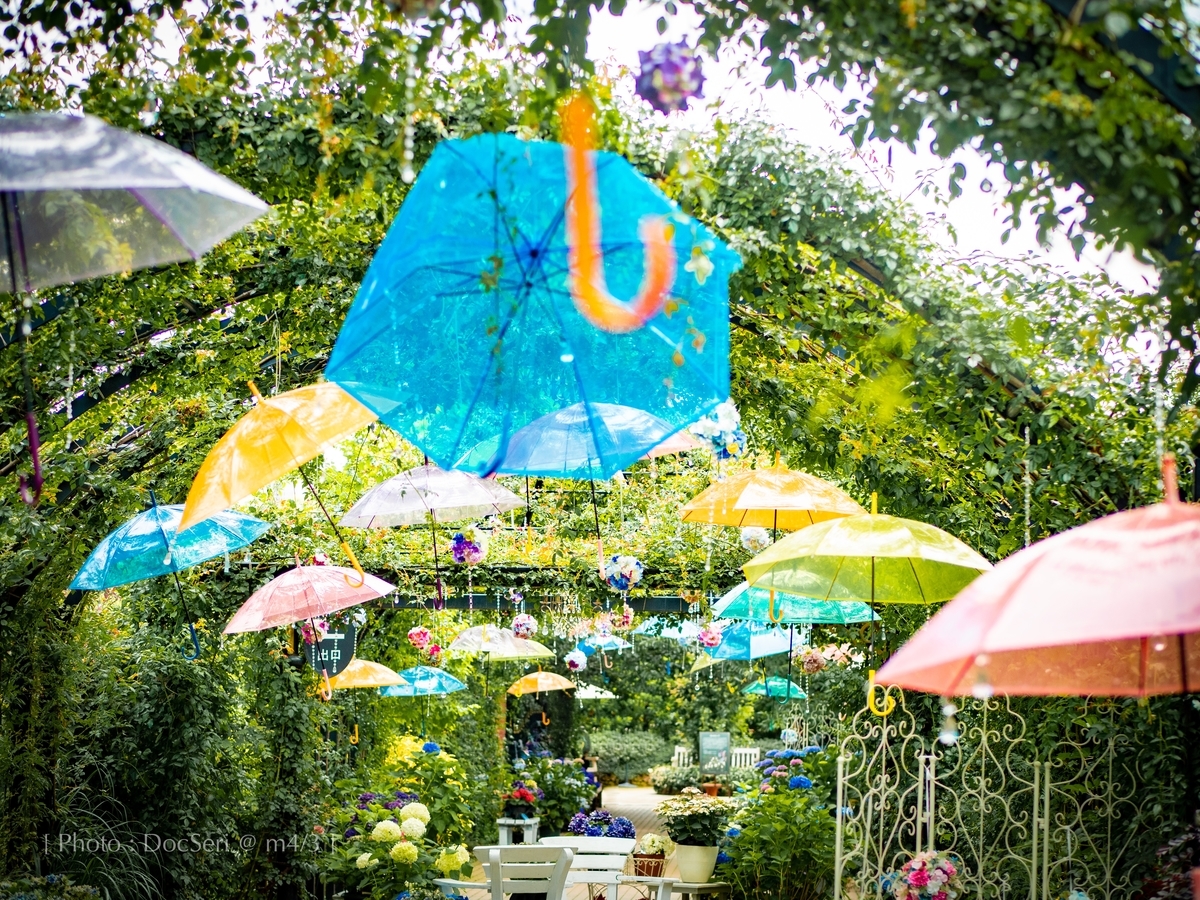 f:id:DocSeri:20190628133838j:plain