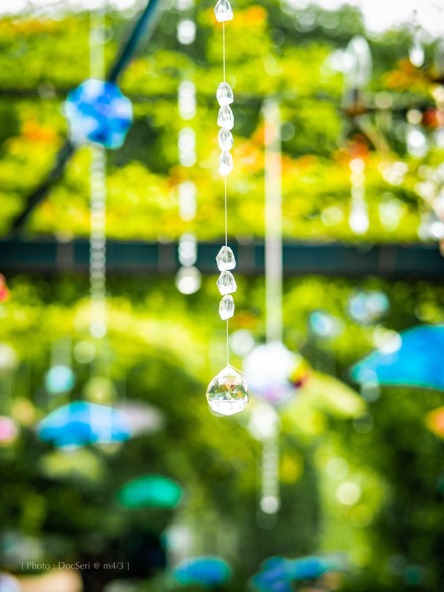 f:id:DocSeri:20190628134411j:plain