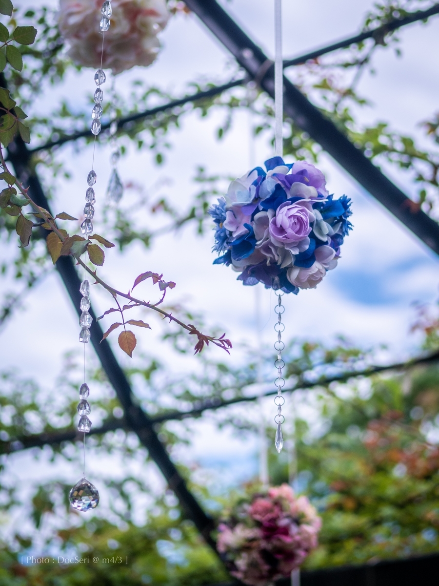 f:id:DocSeri:20190628134522j:plain