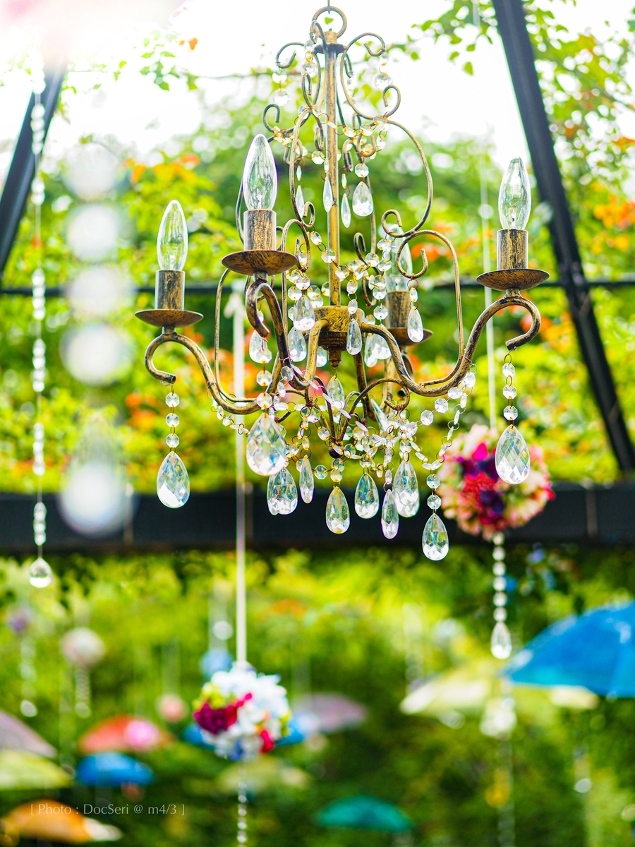 f:id:DocSeri:20190628134717j:plain