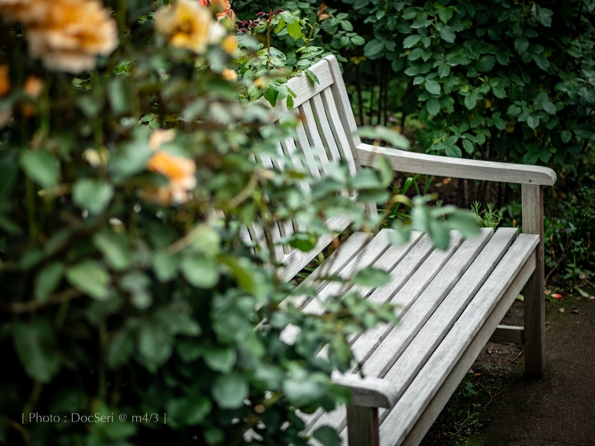 f:id:DocSeri:20190628142923j:plain