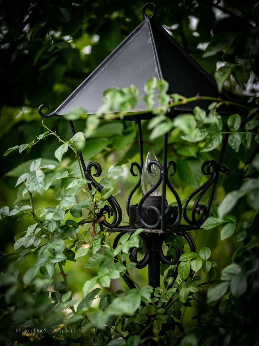 f:id:DocSeri:20190628151655j:plain
