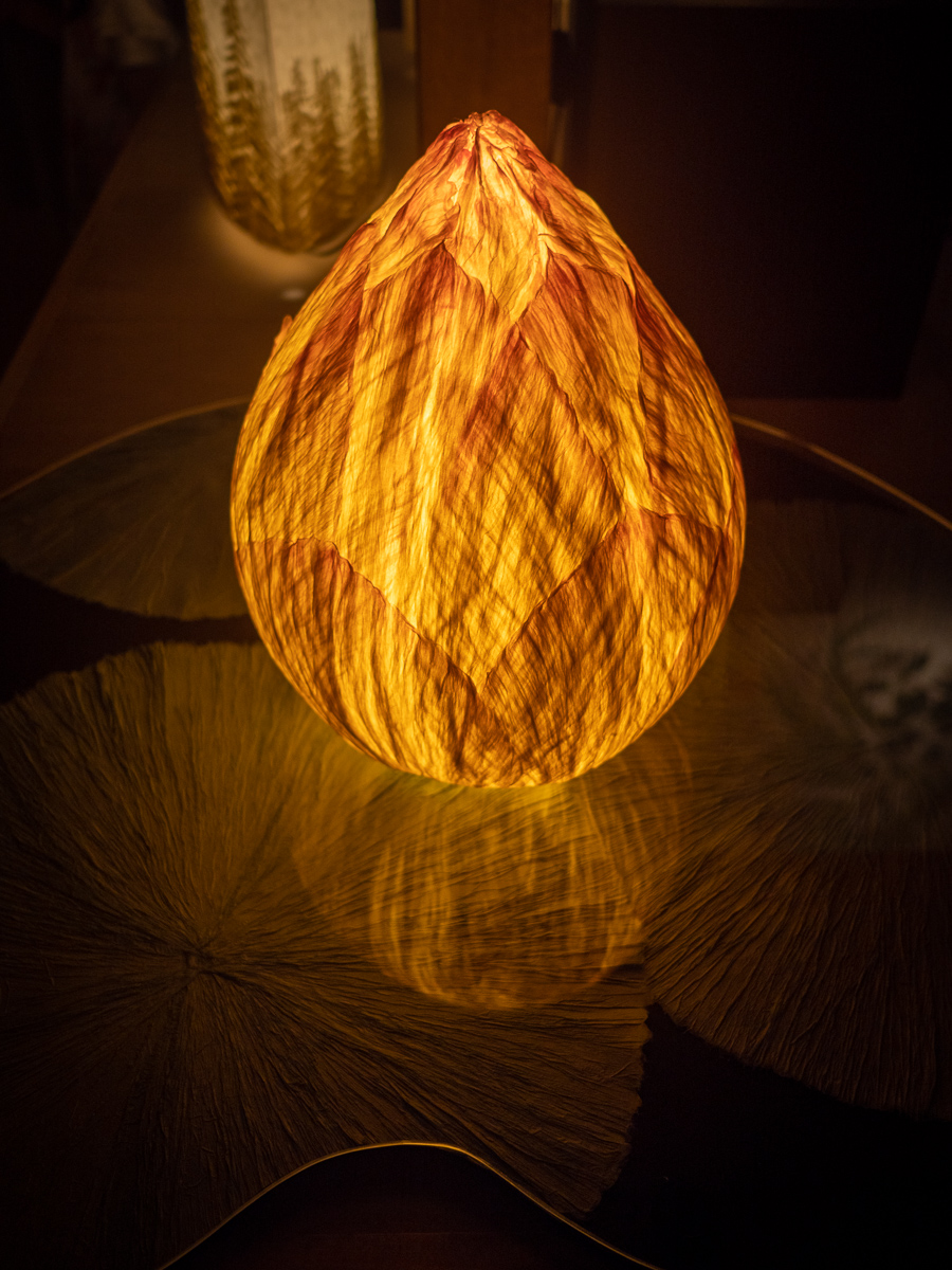 f:id:DocSeri:20190713150643j:plain