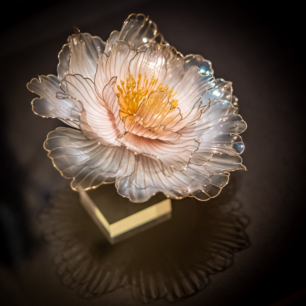 f:id:DocSeri:20190713151543j:plain