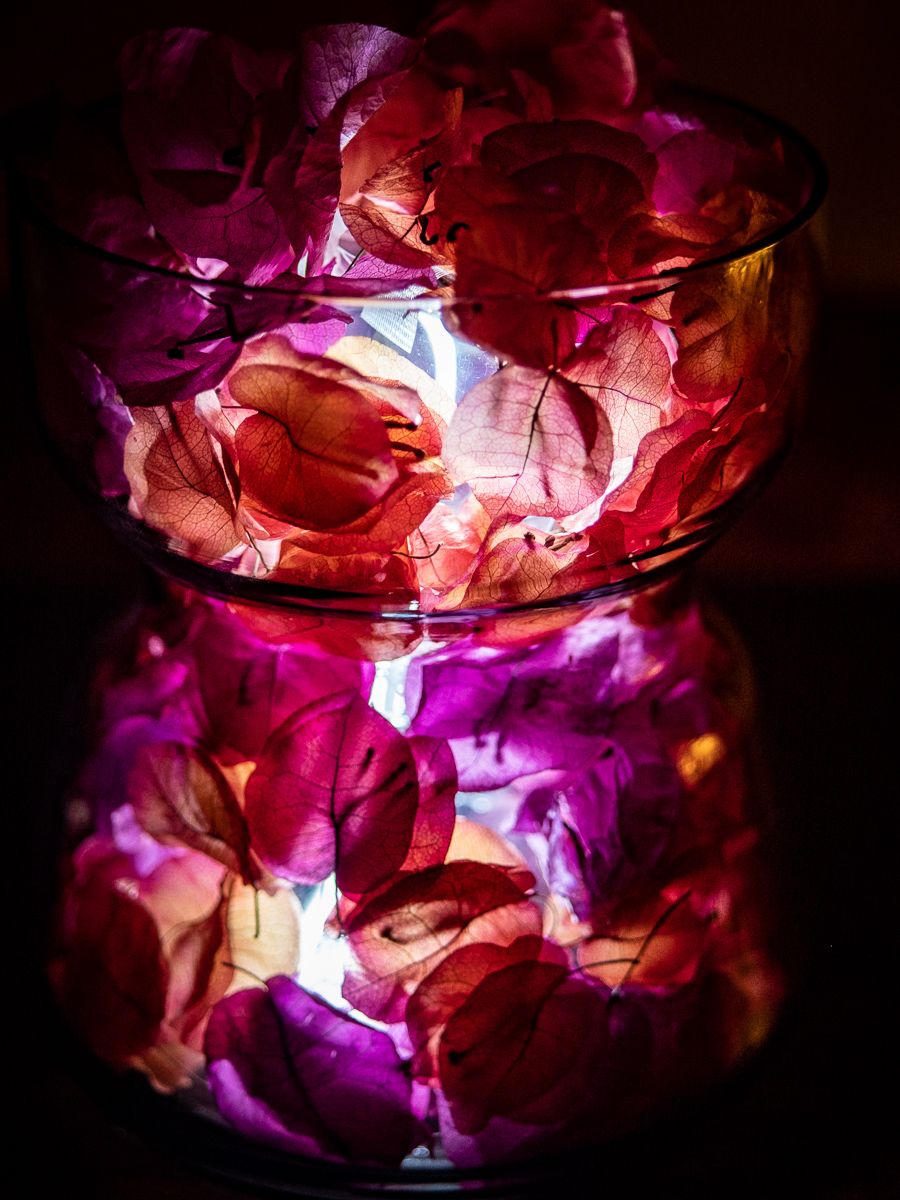 f:id:DocSeri:20190713151821j:plain
