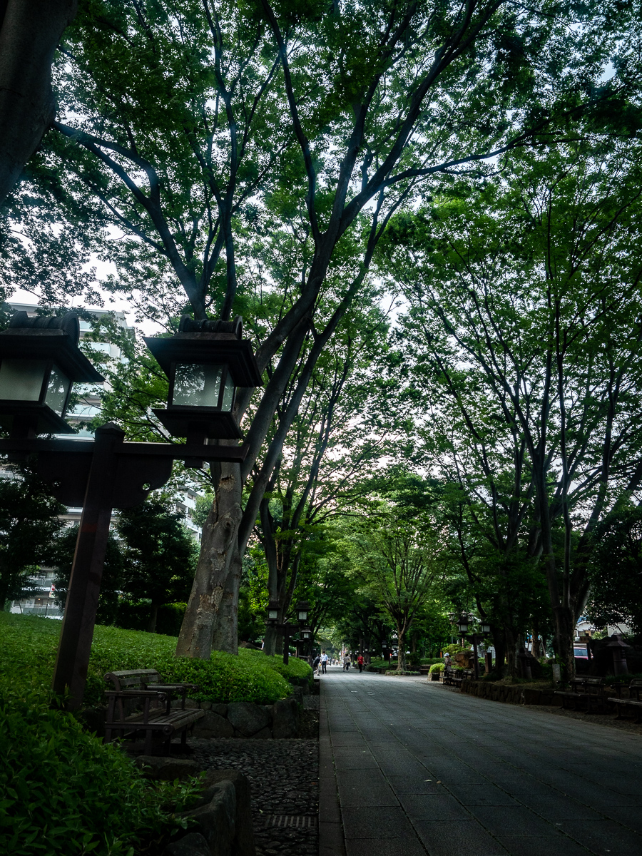 f:id:DocSeri:20190802180228j:plain