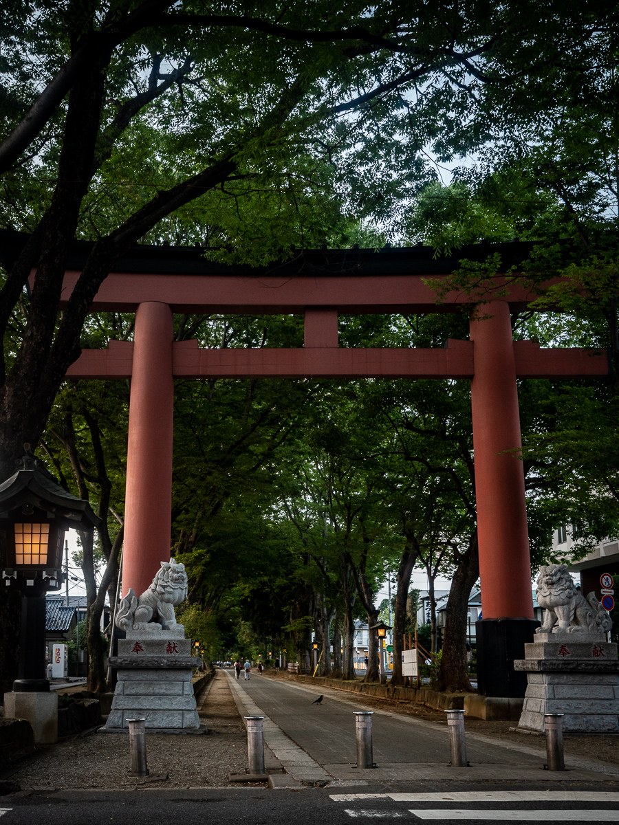f:id:DocSeri:20190802180725j:plain
