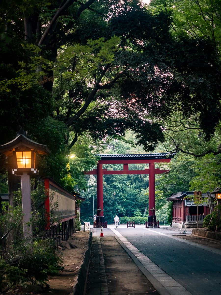 f:id:DocSeri:20190802181344j:plain