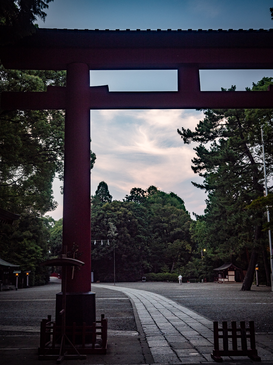 f:id:DocSeri:20190802181429j:plain