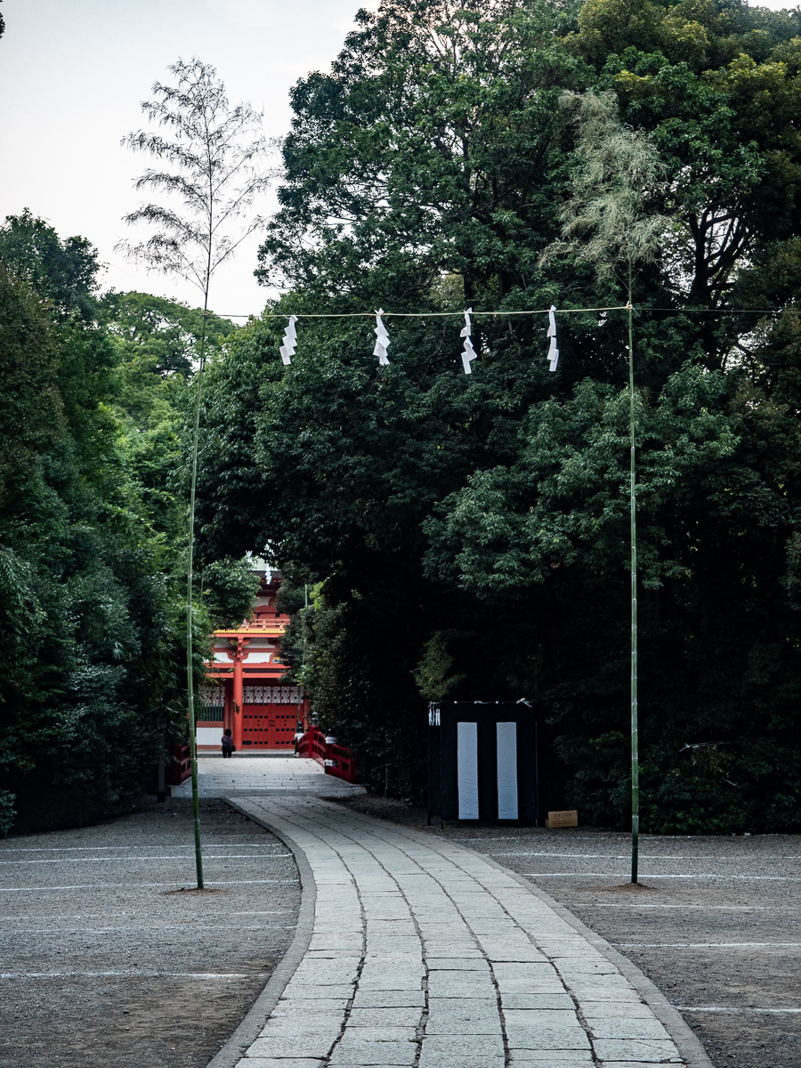 f:id:DocSeri:20190802181502j:plain
