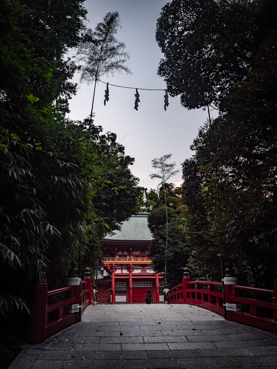 f:id:DocSeri:20190802181639j:plain
