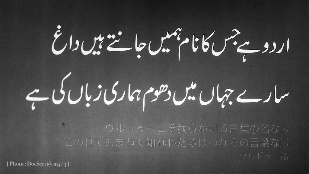 f:id:DocSeri:20200705003359j:plain f:id:DocSeri:20200705003359j:plain
