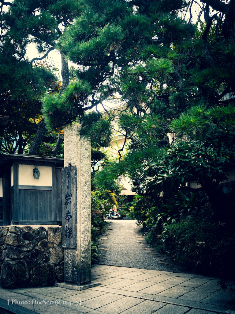 f:id:DocSeri:20201102105850j:plain f:id:DocSeri:20201102105850j:plain
