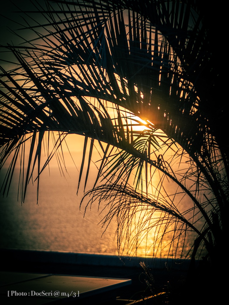 f:id:DocSeri:20201102110002j:plain f:id:DocSeri:20201102110002j:plain