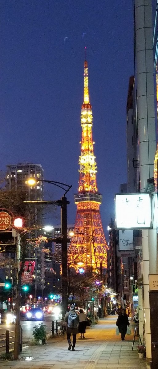 f:id:DocTak:20191231190640j:plain f:id:DocTak:20191231190640j:plain