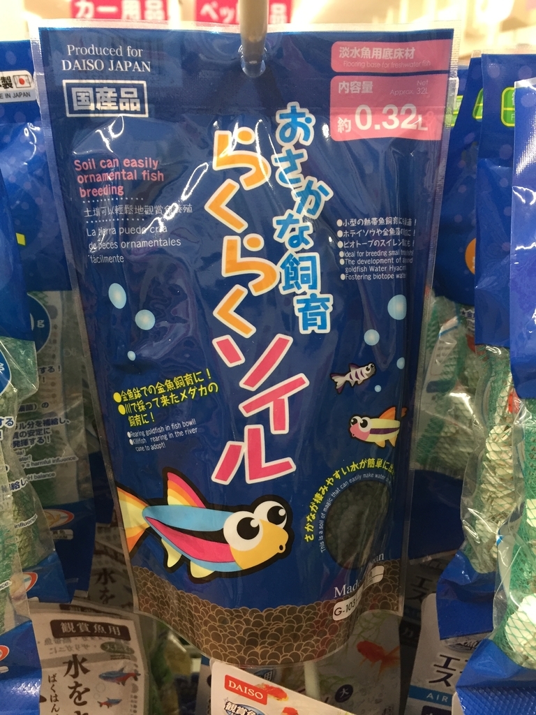 ツノガエル飼育の準備 ドミンゲス タイム