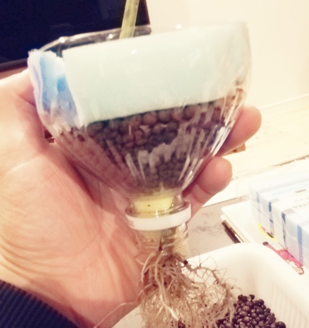 f:id:DonnieLong:20210518221729j:image