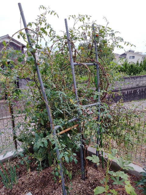 f:id:DonnieLong:20210915005002j:image