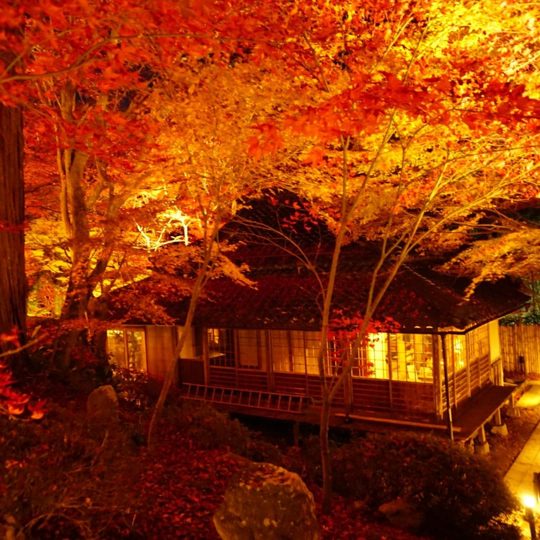 f:id:Doo-Doo-House:20220102005030j:image