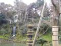 [石川]金沢兼六園