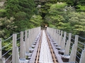 [屋久島]吊り橋