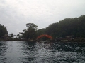 [新潟]佐渡・矢島経島