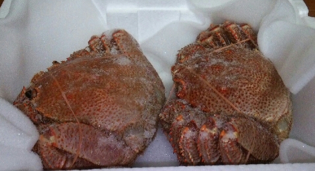 イメージ 3