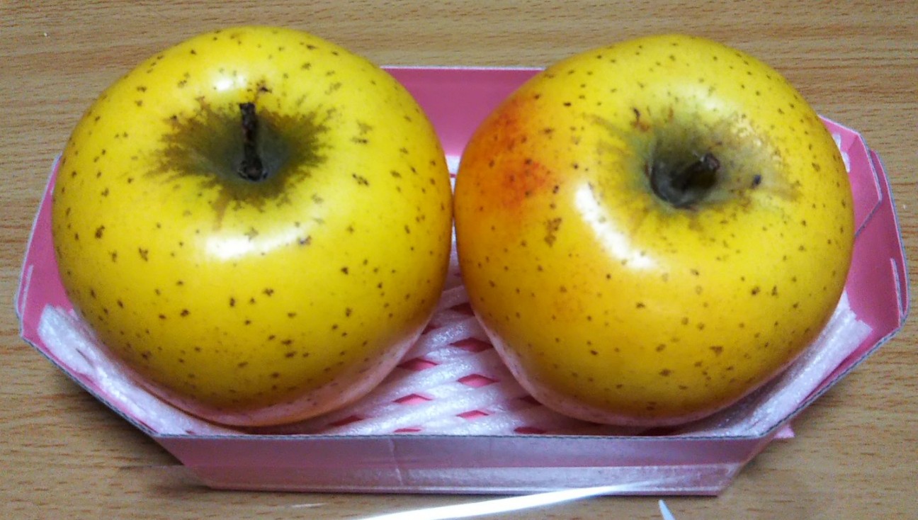 f:id:Dora-2nd:20200524211941j:image f:id:Dora-2nd:20200524211941j:image