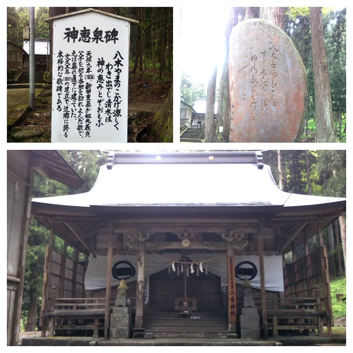 f:id:Dora-2nd:20210508163105j:image f:id:Dora-2nd:20210508163105j:image