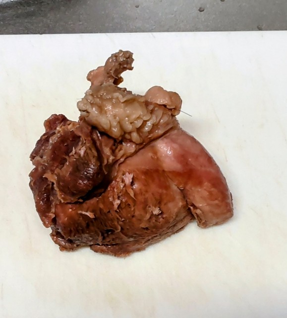 f:id:Dora-2nd:20251109172108j:image f:id:Dora-2nd:20251109172108j:image