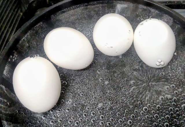 f:id:Dora-2nd:20251113194246j:image f:id:Dora-2nd:20251113194246j:image