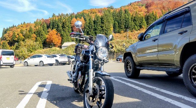 f:id:Dora-2nd:20251116165309j:image f:id:Dora-2nd:20251116165309j:image