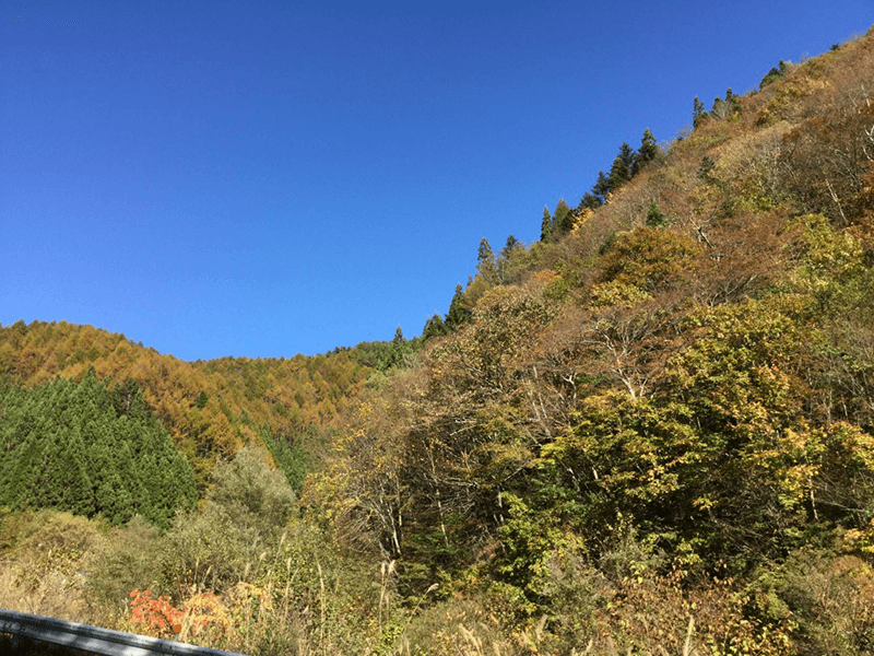 f:id:Doraneko1986:20161106181519p:plain f:id:Doraneko1986:20161106181519p:plain