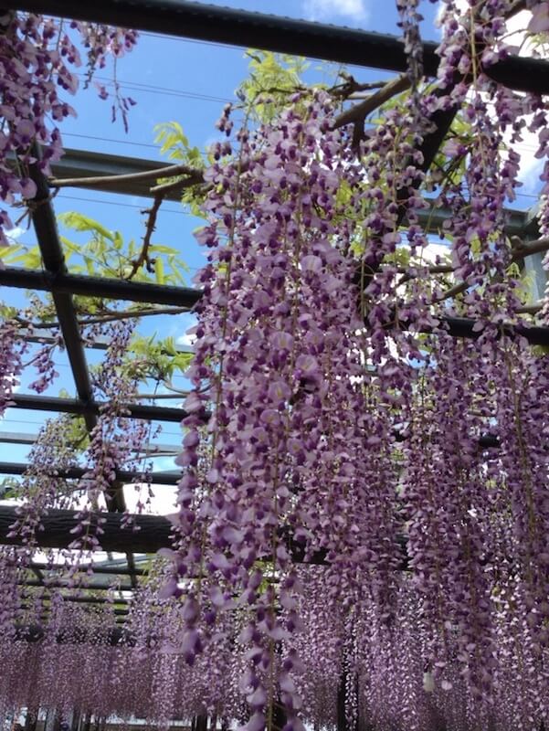 f:id:Doraneko1986:20170507185815j:plain