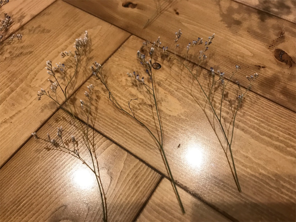 f:id:DotPAPA:20191123122952j:image