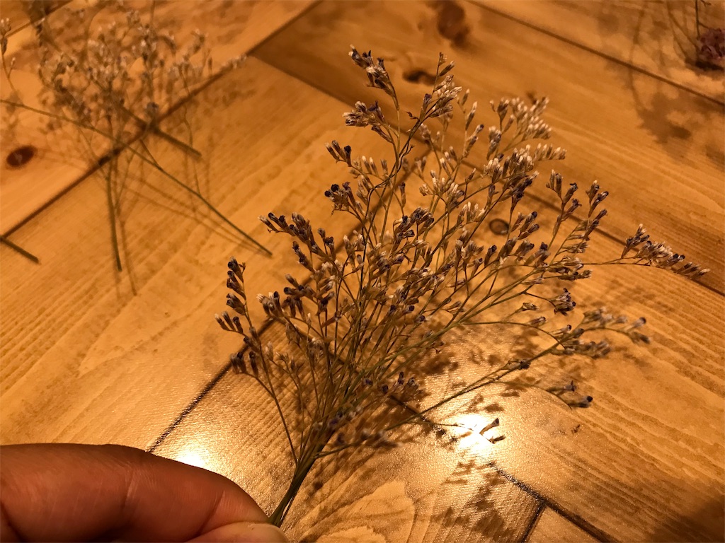 f:id:DotPAPA:20191123123004j:image
