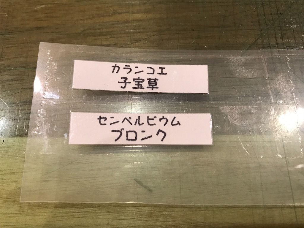f:id:DotPAPA:20200412165505j:image f:id:DotPAPA:20200412165505j:image