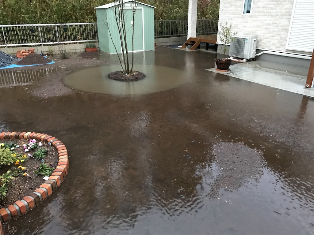 芝 梅雨の豪雨 暗渠排水2年目の効果 ドットパパの家づくりダイアリー 芝 梅雨の豪雨 暗渠排水2年目の効果 ドットパパの家づくりダイアリー
