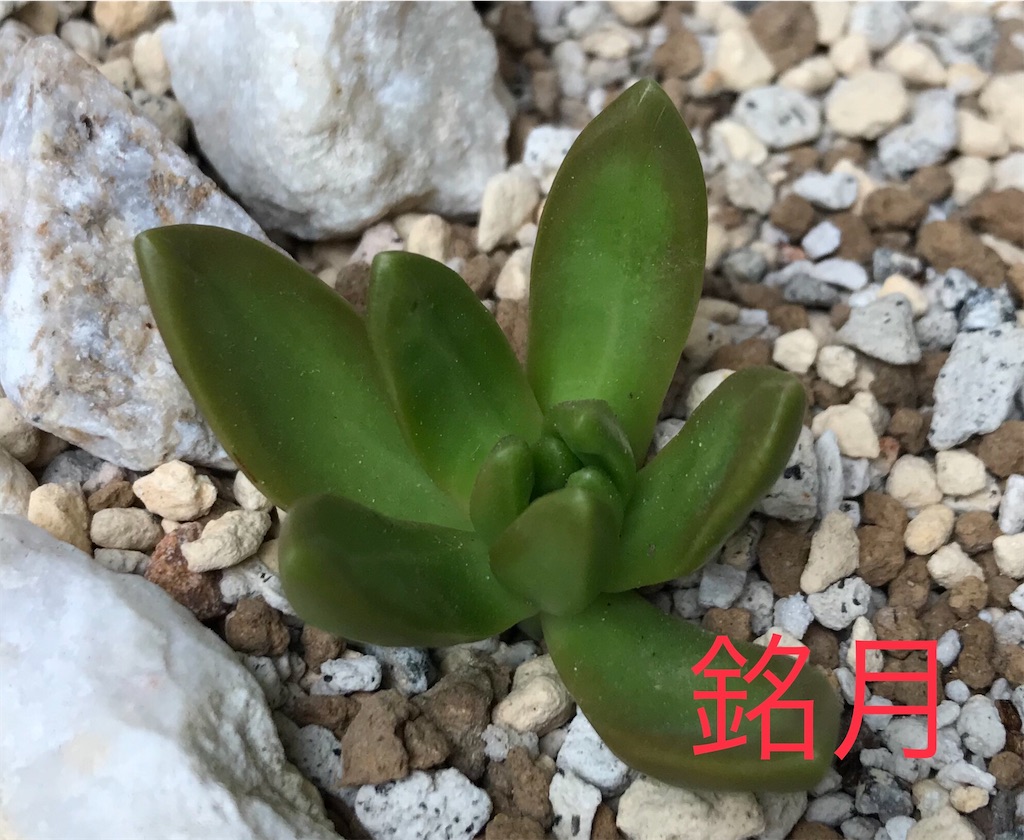 f:id:DotPAPA:20200920081406j:image f:id:DotPAPA:20200920081406j:image