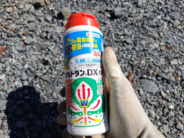 f:id:DotPAPA:20210314151251j:image f:id:DotPAPA:20210314151251j:image