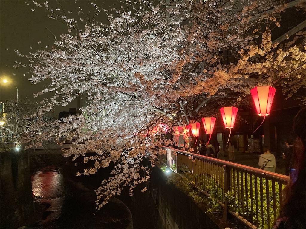f:id:Dr-Kee-pyon-chan:20230326091323j:image f:id:Dr-Kee-pyon-chan:20230326091323j:image