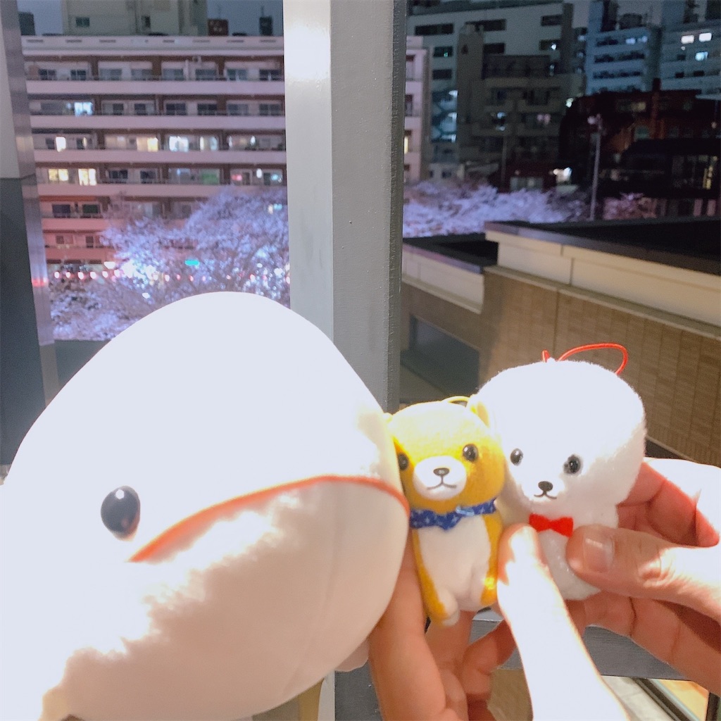 f:id:Dr-Kee-pyon-chan:20230326091340j:image f:id:Dr-Kee-pyon-chan:20230326091340j:image