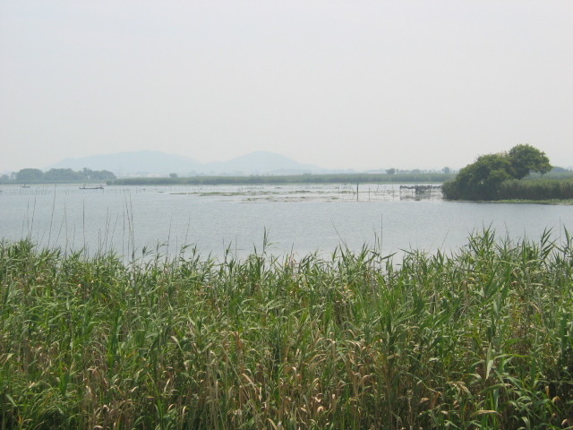 f:id:Dr-Seton:20050903123632j:image
