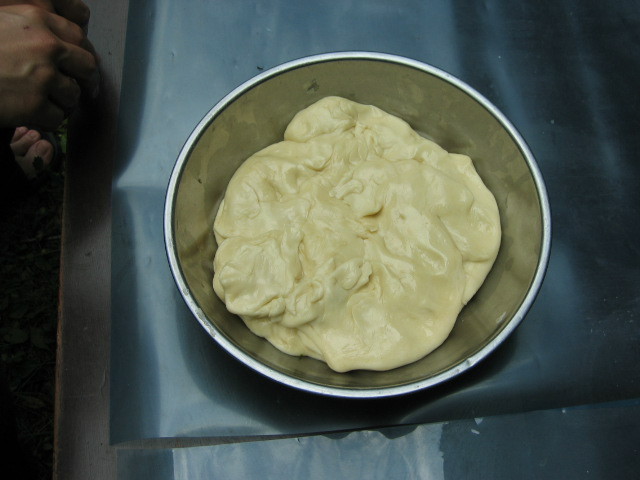 f:id:Dr-Seton:20080504114905j:image