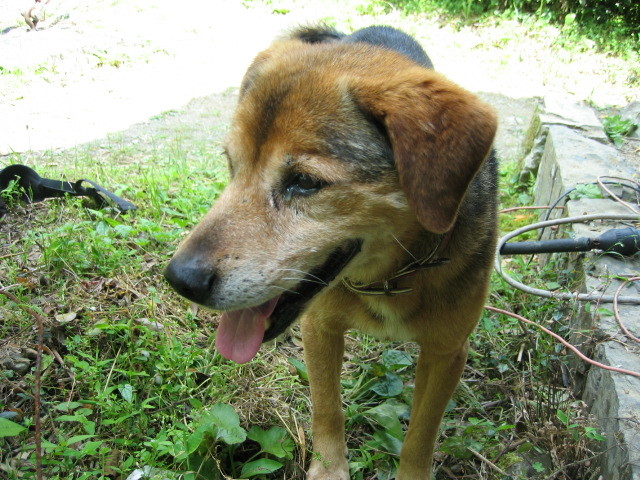 f:id:Dr-Seton:20080504125740j:image