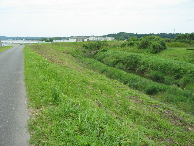 f:id:Dr-Seton:20080615113000j:image
