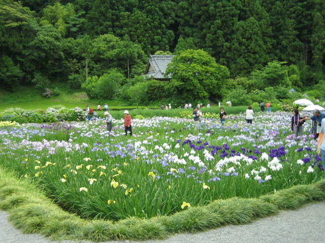 f:id:Dr-Seton:20080615124200j:image