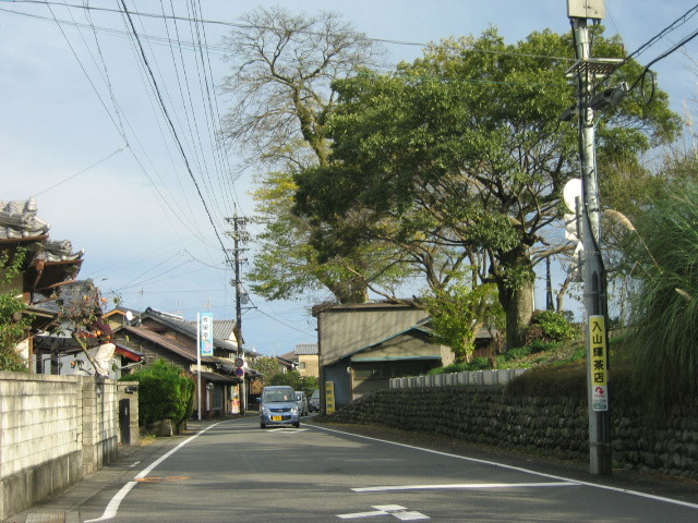 f:id:Dr-Seton:20091114145826j:image