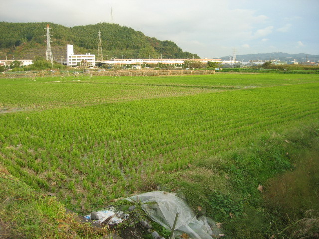 f:id:Dr-Seton:20091114161827j:image